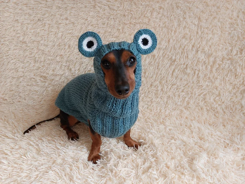 Pet rehabilitation recovery clothes (such as post-operative clothes)Pet Frog Costume - Halloween Costume Frog Sweater and Hat - Dachshund Frog Set for Dog Photo Shoot-Halloween dog costume for small dog Frog