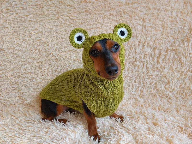 Pet lace clothesPet Frog Costume - Halloween Costume Frog Sweater and Hat - Dachshund Frog Set for Dog Photo Shoot-Halloween dog costume for small dog Frog