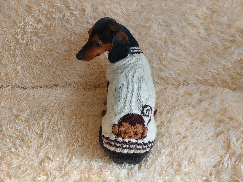 Small dog clothesClothes for a dachshund or small dog knitted winter wool warm jumper with a pattern