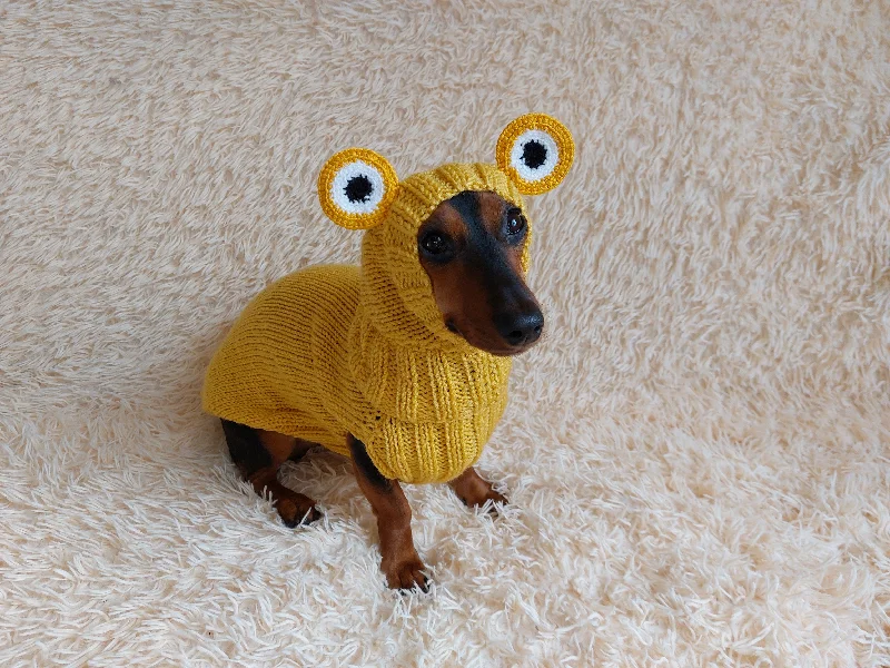 Pet cotton clothesPet Frog Costume - Halloween Costume Frog Sweater and Hat - Dachshund Frog Set for Dog Photo Shoot-Halloween dog costume for small dog Frog